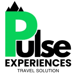 pulseexperiences